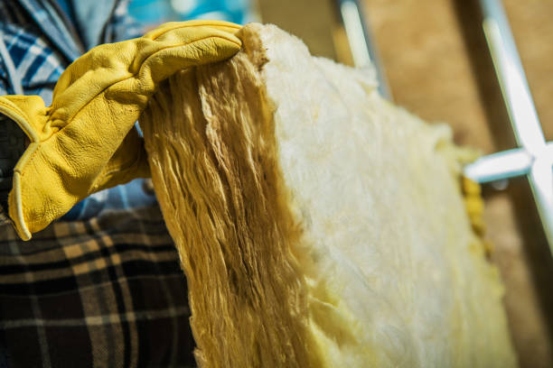 Best Crawl Space Insulation  in Clare, MI