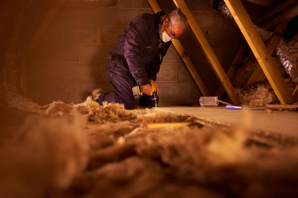Best Professional Insulation Contractor  in Clare, MI